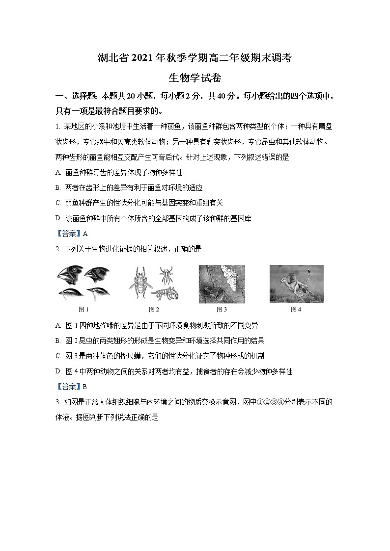 湖北省2021-2022学年高二生物上学期期末调考试题（Word版附答案）第1页