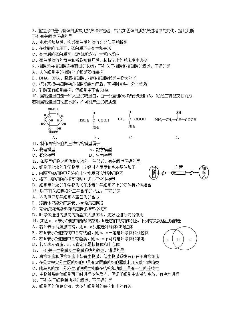 黑龙江省哈尔滨师范大学附属中学2022-2023学年高一生物上学期期中试卷（Word版附答案）02