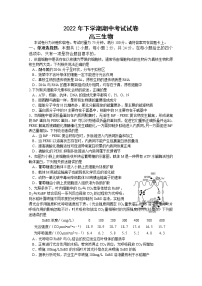 湖南省邵阳市武冈市2022-2023学年高三生物上学期期中试题（Word版附答案）