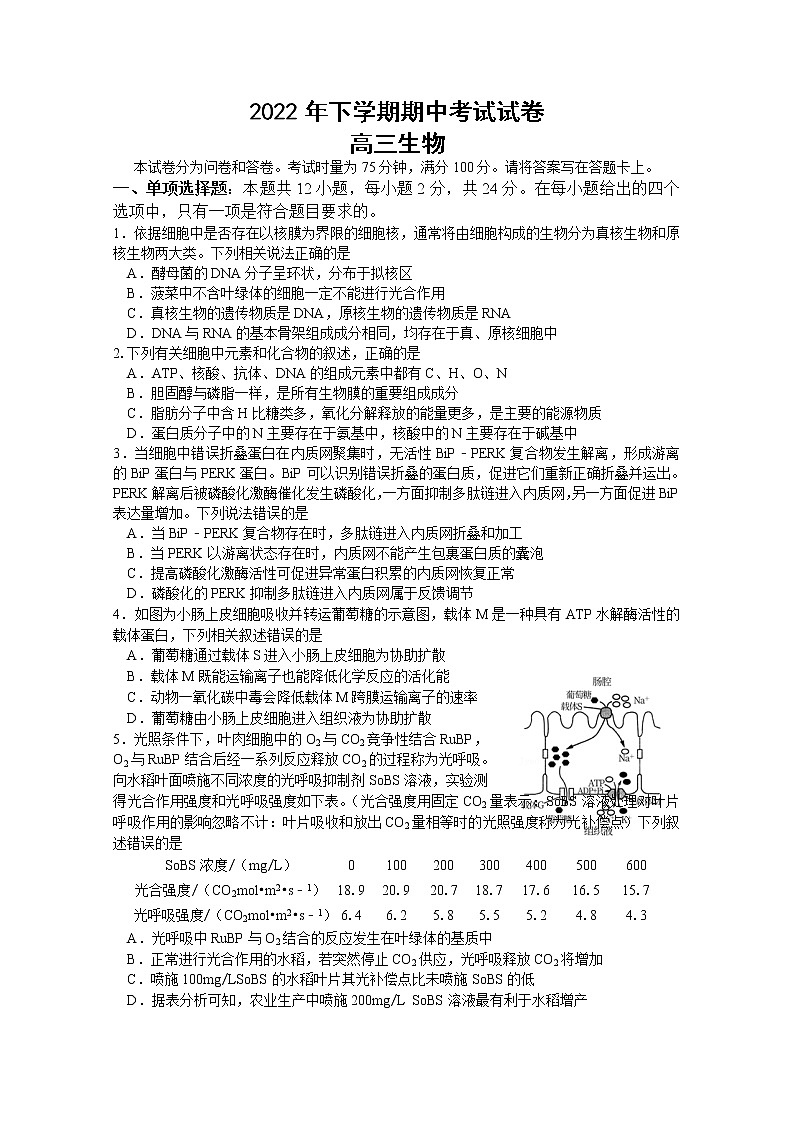 湖南省邵阳市武冈市2022-2023学年高三生物上学期期中试题（Word版附答案）01