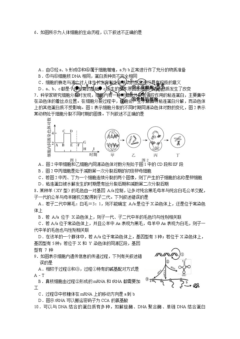 湖南省邵阳市武冈市2022-2023学年高三生物上学期期中试题（Word版附答案）02