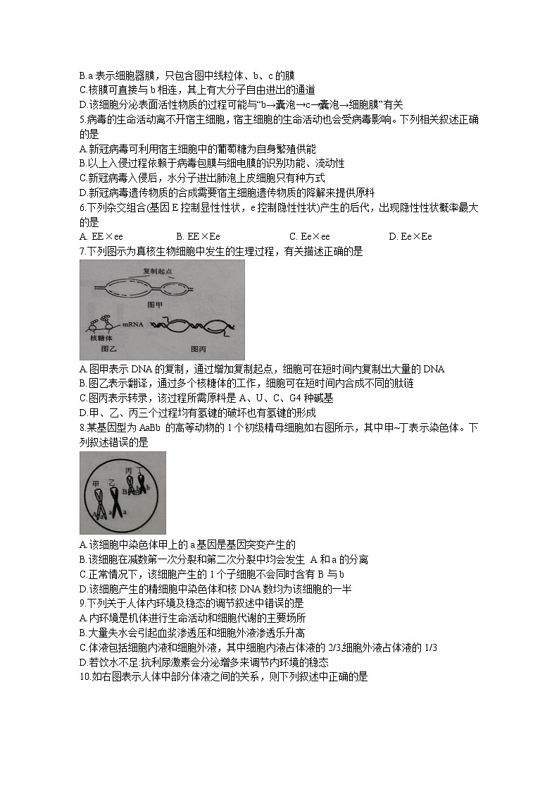 浙江省温州十校联合体2022-2023学年高二生物上学期期中联考试题（Word版附解析）02