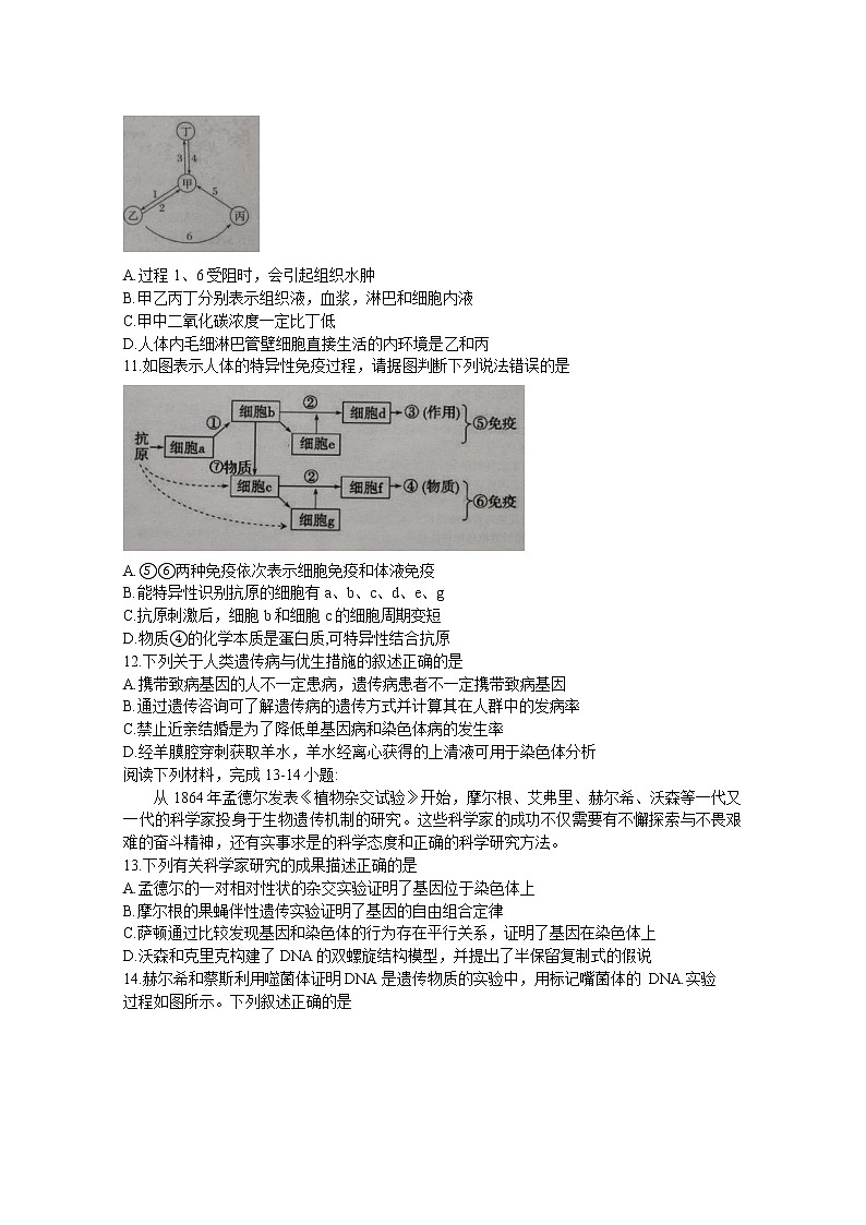 浙江省温州十校联合体2022-2023学年高二生物上学期期中联考试题（Word版附解析）03