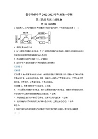 广东省普宁市华侨中学2022-2023学年高二生物11月期中考试试题（Word版附解析）