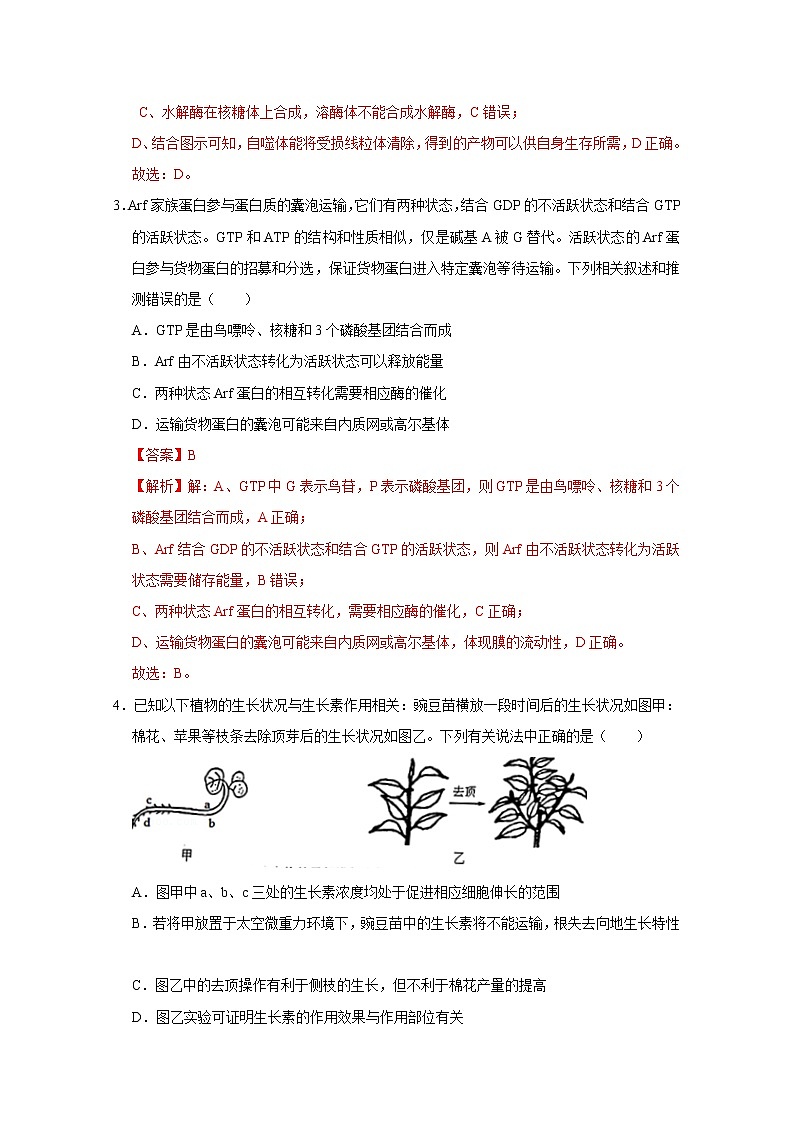 浙江省2023年1月普通高校招生选考科目考试生物仿真模拟试卷B（Word版附解析）第2页