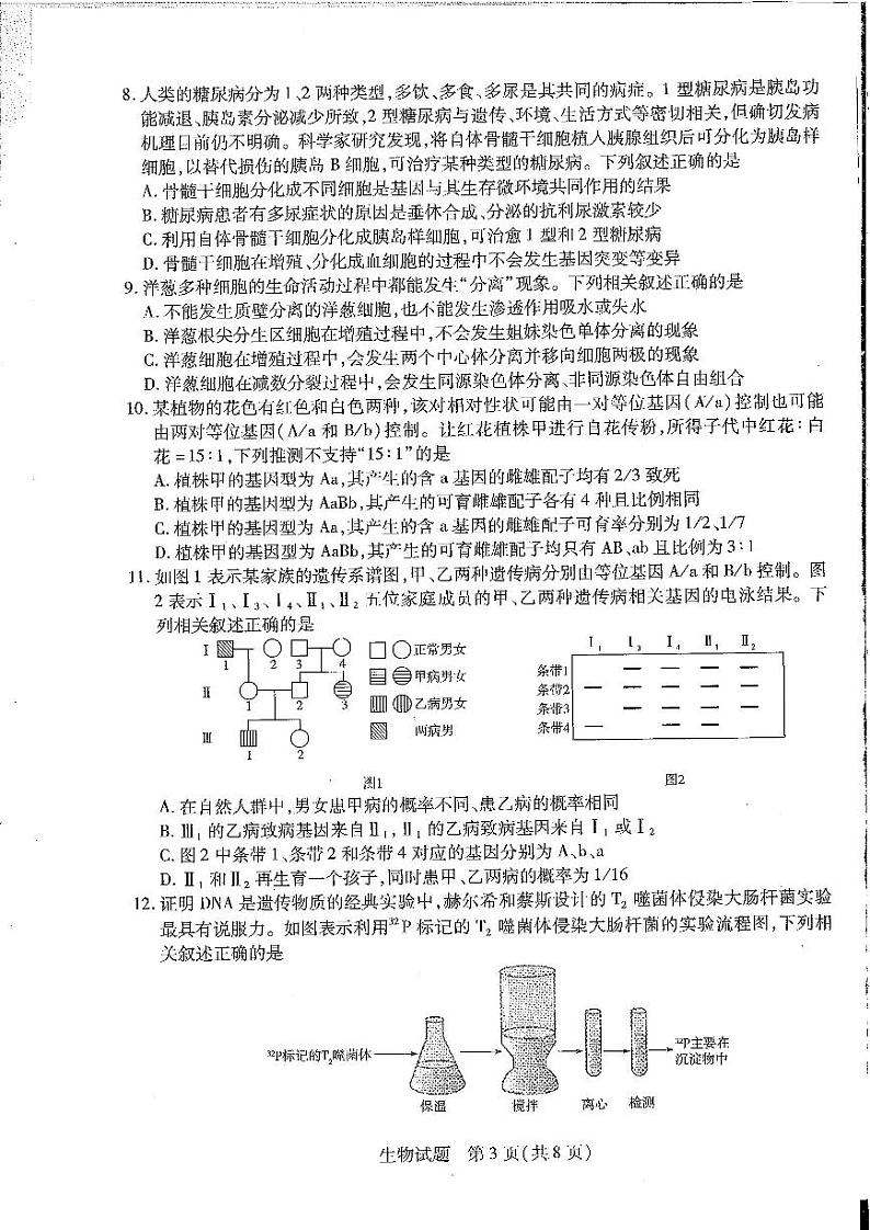 天一大联考2022-2023学年高三上学期阶段测试（三）生物试卷第3页