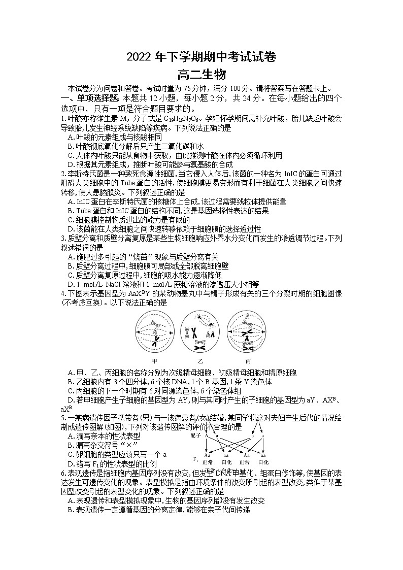 湖南省邵阳市武冈市2022-2023学年高二生物上学期期中试题（Word版附答案）01