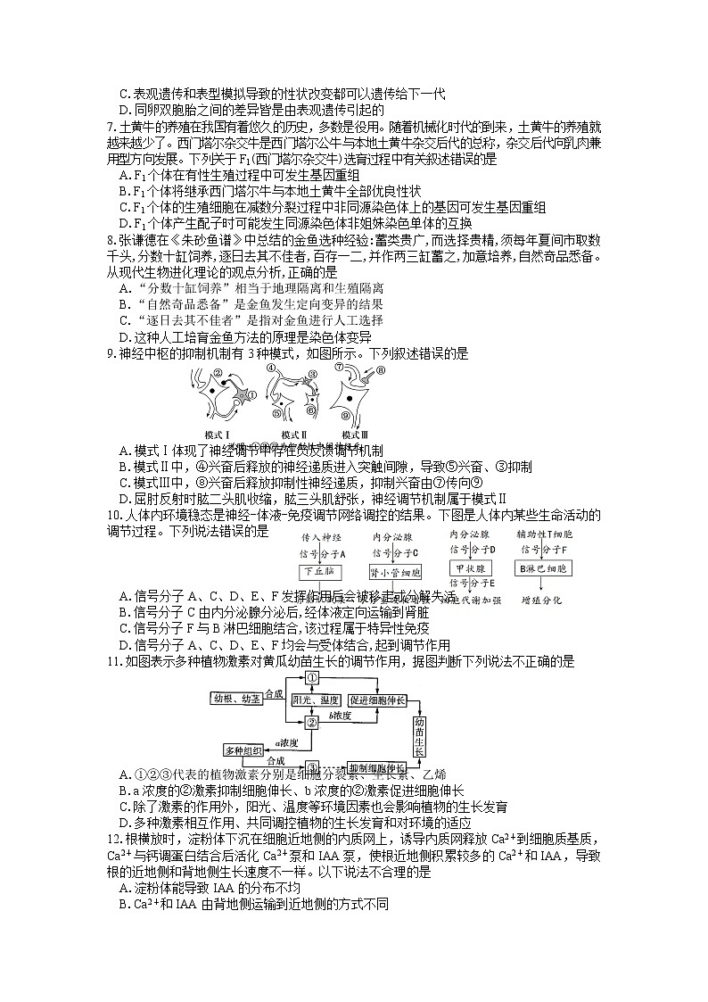 湖南省邵阳市武冈市2022-2023学年高二生物上学期期中试题（Word版附答案）02