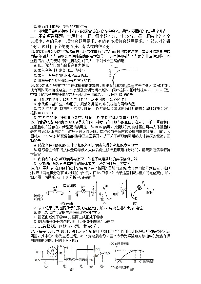 湖南省邵阳市武冈市2022-2023学年高二生物上学期期中试题（Word版附答案）03