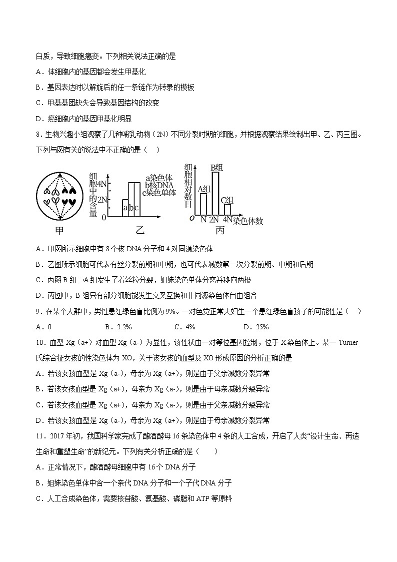 2023重庆市一中校高三上学期12月月考生物试题含答案第3页