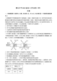 2023长沙雅礼中学高三上学期第四次月考生物试卷含答案