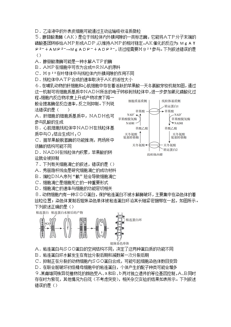 2023临沂高三上学期期中考试生物试题含答案02