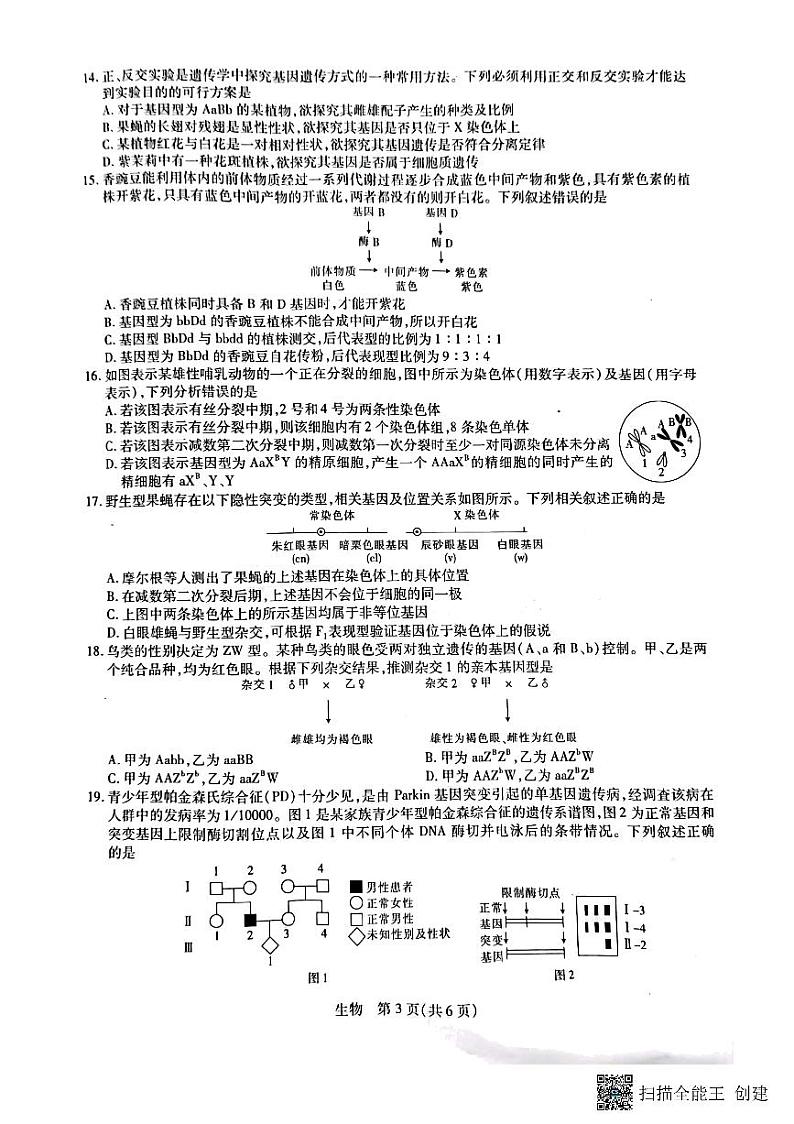 2022-2023学年江西省赣州市教育发展联盟高三上学期第9次联考生物试题（PDF版）03