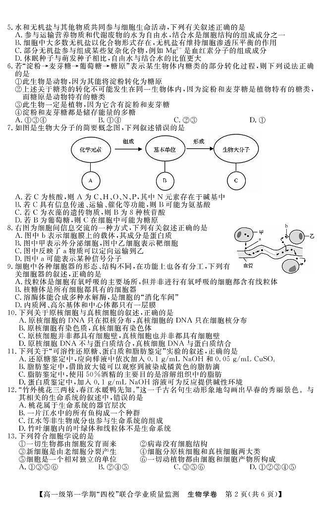 广东四校2022-2023学年高一生物上学期12月联考试题（PDF版附答案）第2页