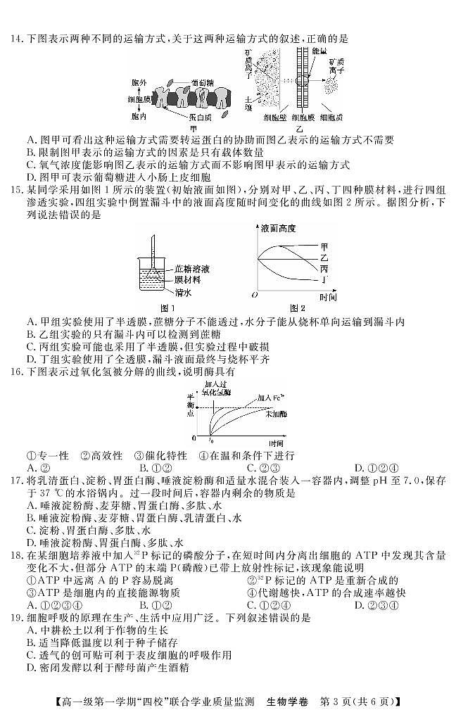 广东四校2022-2023学年高一生物上学期12月联考试题（PDF版附答案）第3页