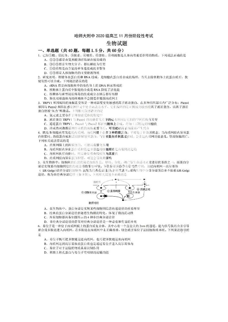 2023省哈尔滨师大附中高三上学期11月期中考试生物PDF版含答案第1页