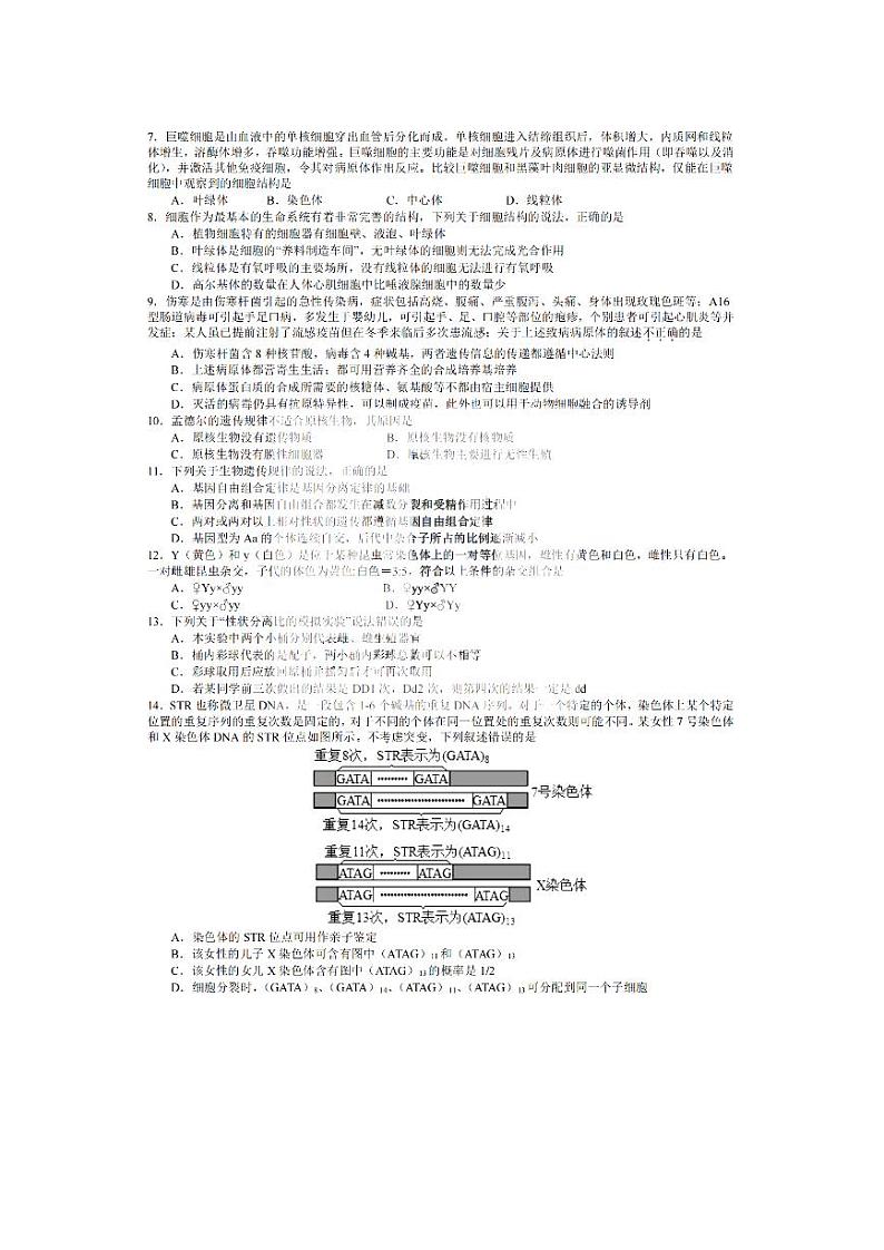 2023省哈尔滨师大附中高三上学期11月期中考试生物PDF版含答案第2页