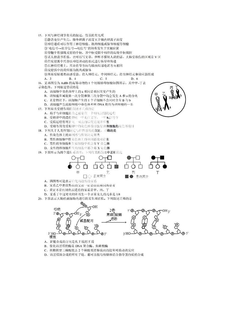2023省哈尔滨师大附中高三上学期11月期中考试生物PDF版含答案第3页