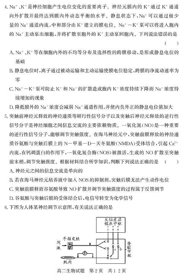 山东省济宁市泗水县2022-2023学年高二年级上学期期中考试生物试题第2页