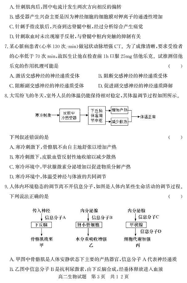 山东省济宁市泗水县2022-2023学年高二年级上学期期中考试生物试题第3页