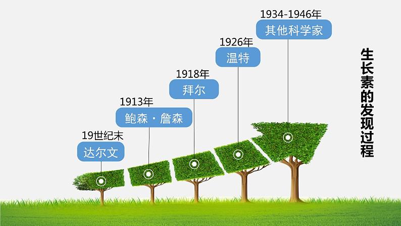 植物生长素(第一课时)课件PPT03