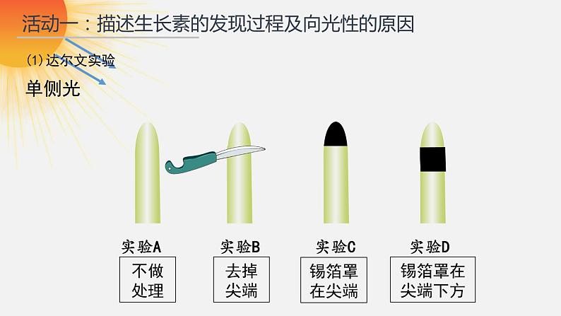 植物生长素(第一课时)课件PPT05