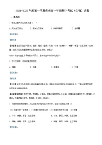 2021-2022学年天津市实验中学滨海学校高一上学期期中质量监测生物试题（黄南民族班）Word版含解析