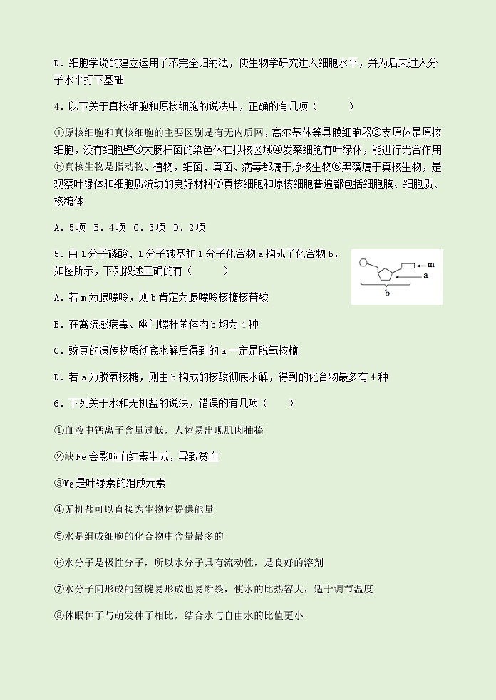 2022-2023学年甘肃省兰州第一中学高一上学期期中考试生物试题含答案02