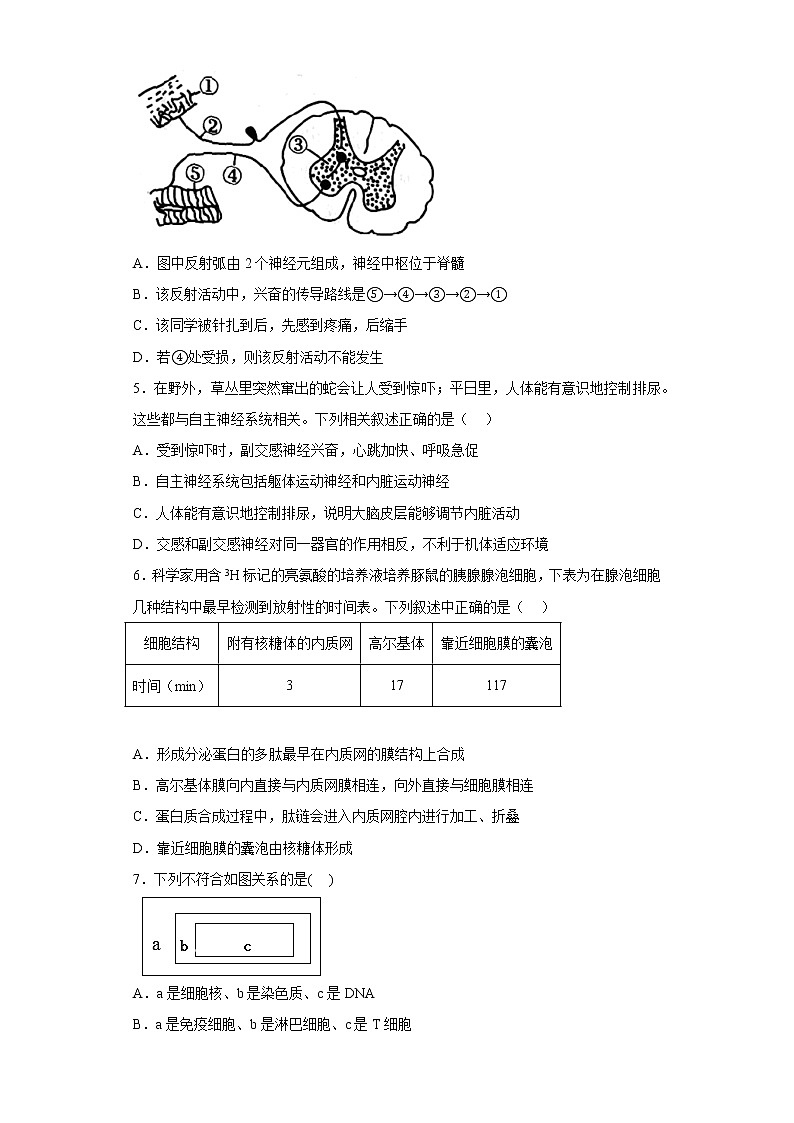 2023青岛二中高二上学期12月月考生物试题含答案02
