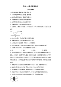 2023青岛二中高一上学期12月月考生物试题含答案