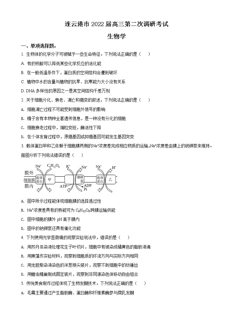 2022届江苏省连云港市高三二模生物试题（含答案）01