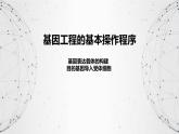 基因表达载体的构建、目的基因的导入课件PPT