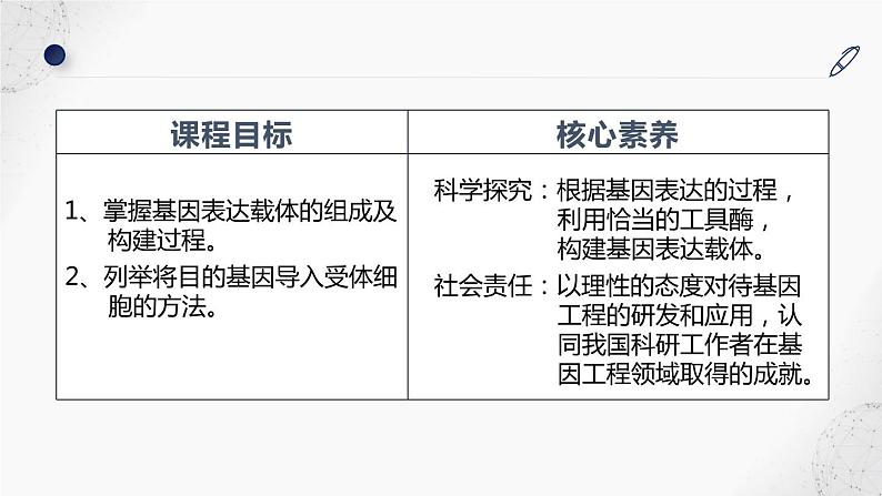 基因表达载体的构建、目的基因的导入课件PPT第3页