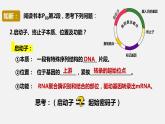 基因表达载体的构建、目的基因的导入课件PPT