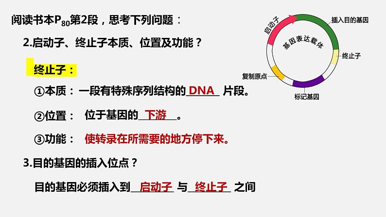 基因表达载体的构建、目的基因的导入课件PPT第6页