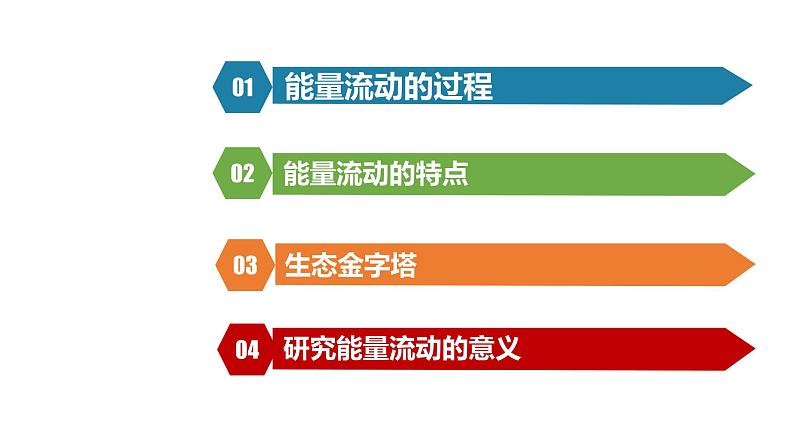 3.2 生态系统的能量流动课件PPT第2页