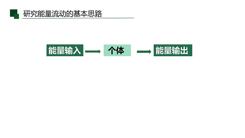 3.2 生态系统的能量流动课件PPT第5页