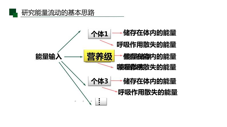 3.2 生态系统的能量流动课件PPT第6页