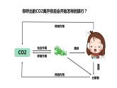 3.3生态系统的物质循环课件PPT