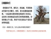 生态系统的物质循环课件PPT
