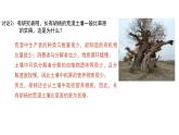 生态系统的物质循环课件PPT