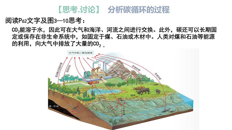 生态系统的物质循环课件PPT第5页