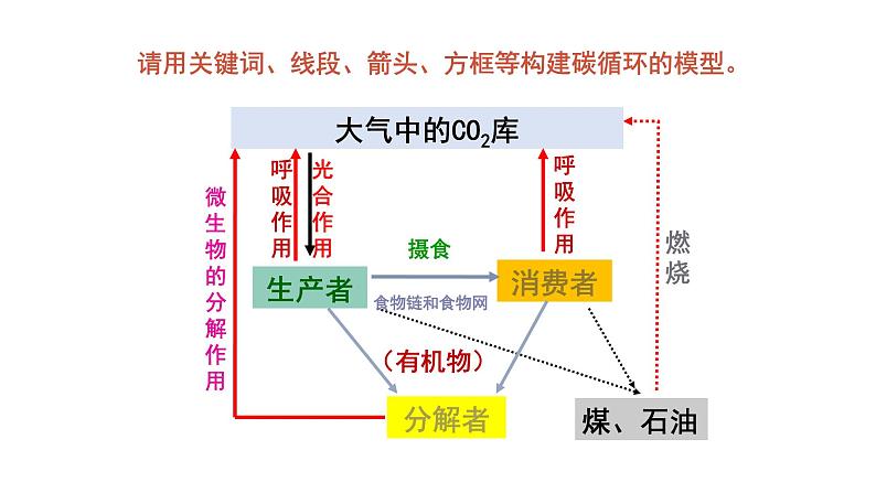 生态系统的物质循环课件PPT第8页