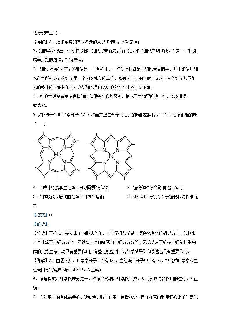 黑龙江省哈尔滨师范大学附中2022-2023学年高一生物上学期期中试题（Word版附解析）03