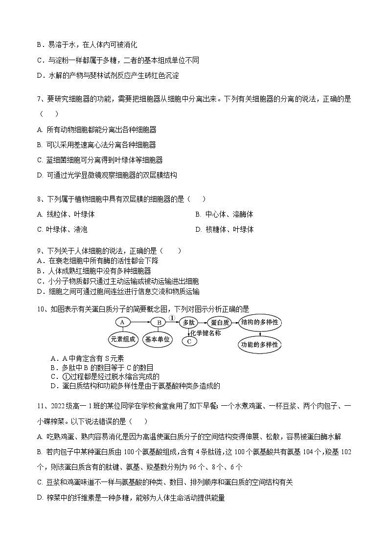 湖南省株洲市攸县第二中学2022-2023学年高一生物上学期期中考试试题（Word版附答案）02