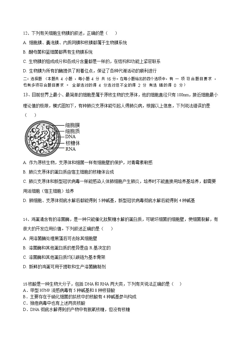 湖南省株洲市攸县第二中学2022-2023学年高一生物上学期期中考试试题（Word版附答案）03