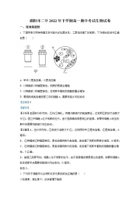 湖南省邵阳市第二中学2022-2023学年高一生物上学期期中考试试题（Word版附解析）