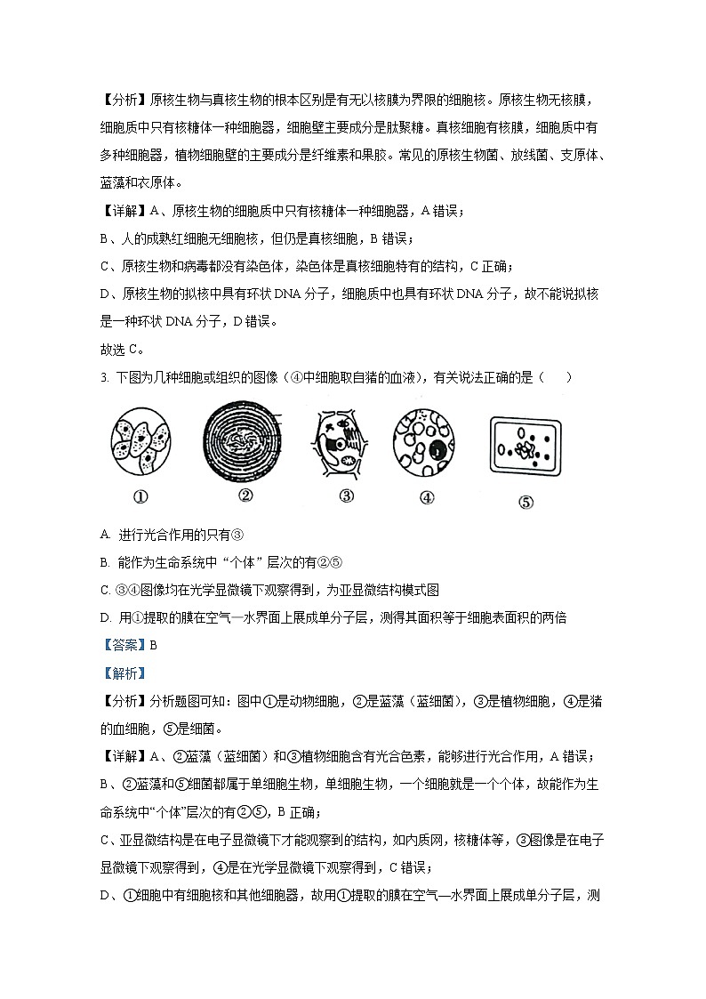 湖北省黄冈市2022-2023学年高一生物上学期期中联考试题（Word版附解析）第2页