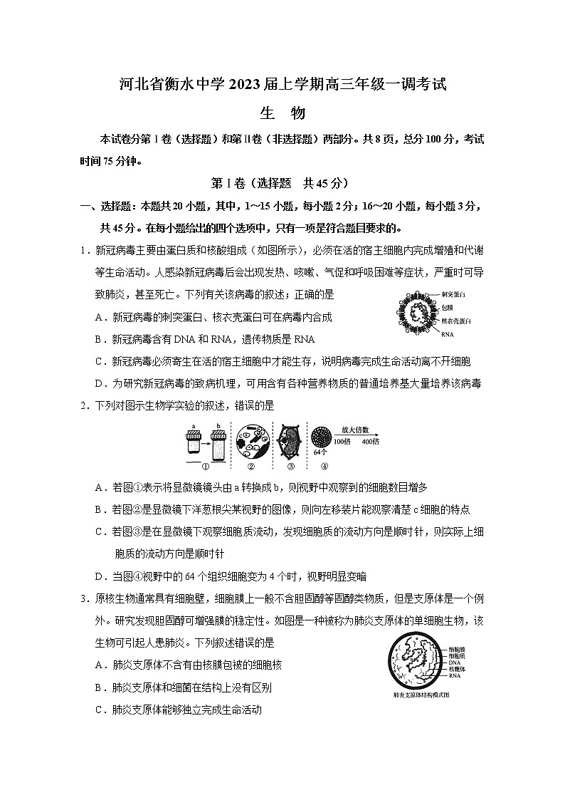 河北省衡水中学2023届高三生物上学期一模试题（Word版附解析）01