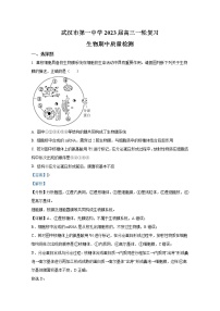 湖北省武汉市一中2022-2023学年高三生物上学期期中质量检测试题（Word版附解析）